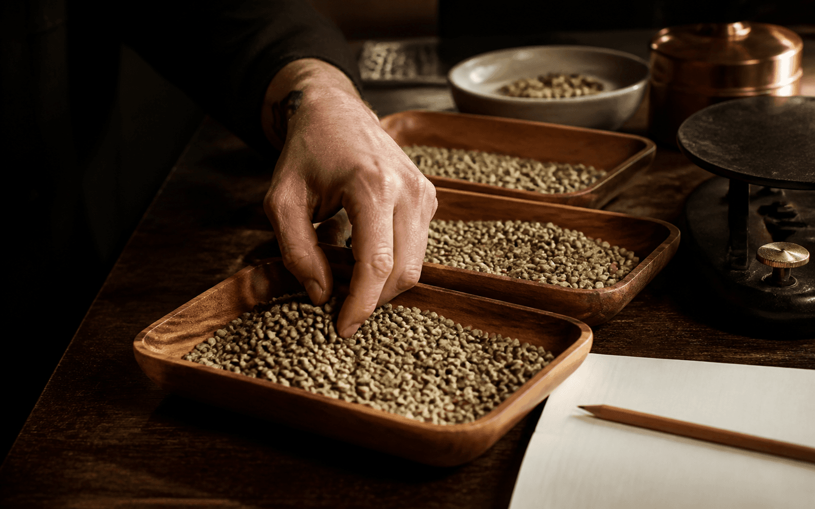 Coffee sourcing illustration; not a photograph of this lot's origin